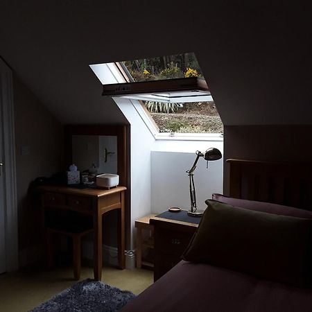 Forest View Woodland Lodge Ballard 외부 사진